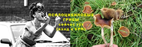 амф Армянск