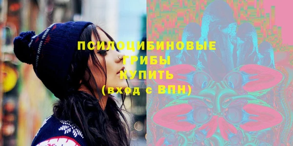 мдпв Магас
