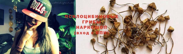 амф Армянск