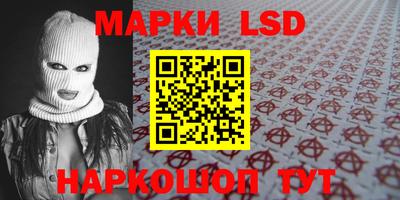 spice Гатчина
