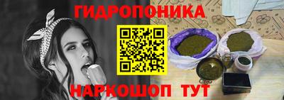 spice Гатчина