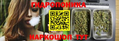 spice Гатчина