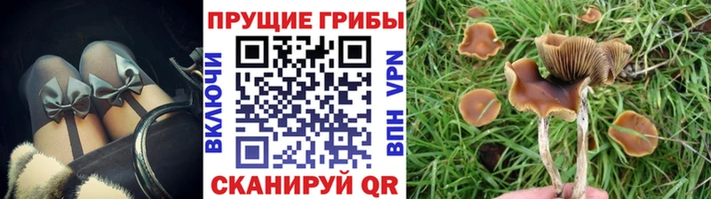 Псилоцибиновые грибы прущие грибы omg онион Изобильный