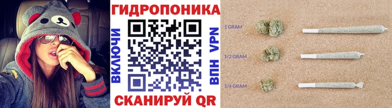 Конопля план Изобильный